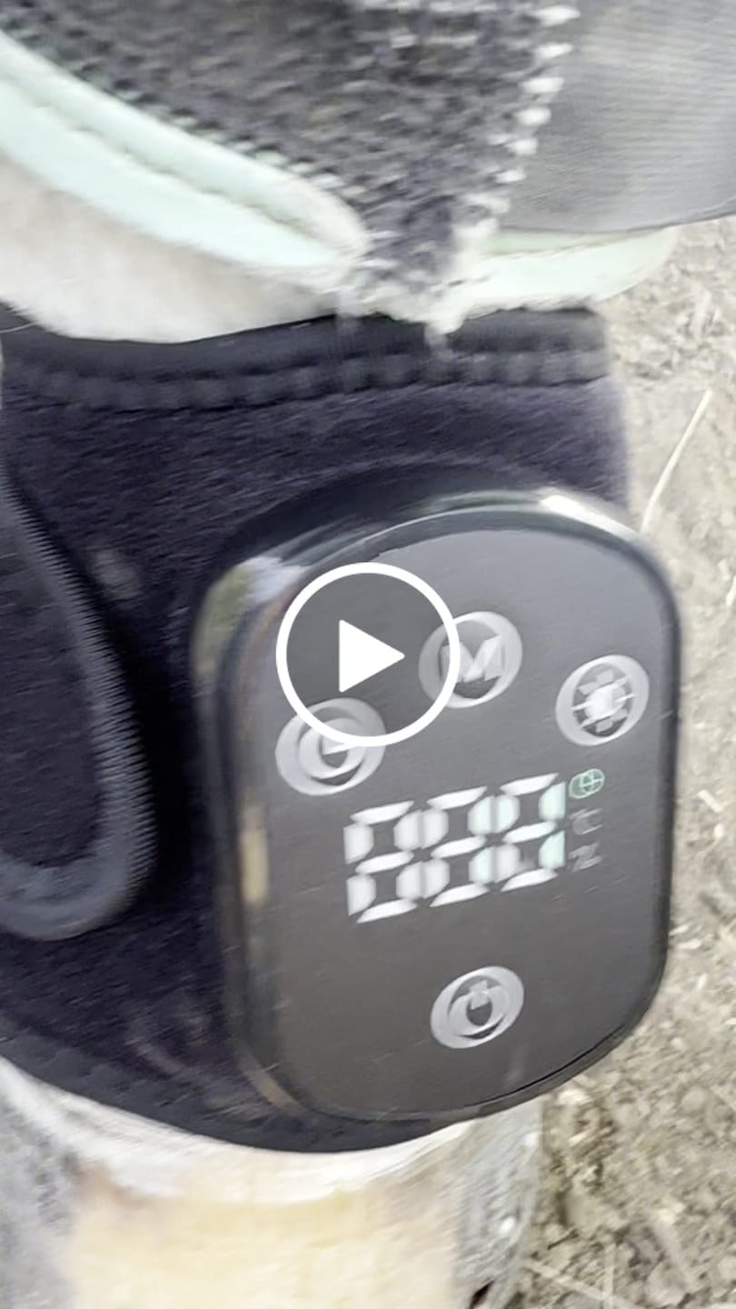 Customer video review of HorseHalo™ HaloLegs Mini