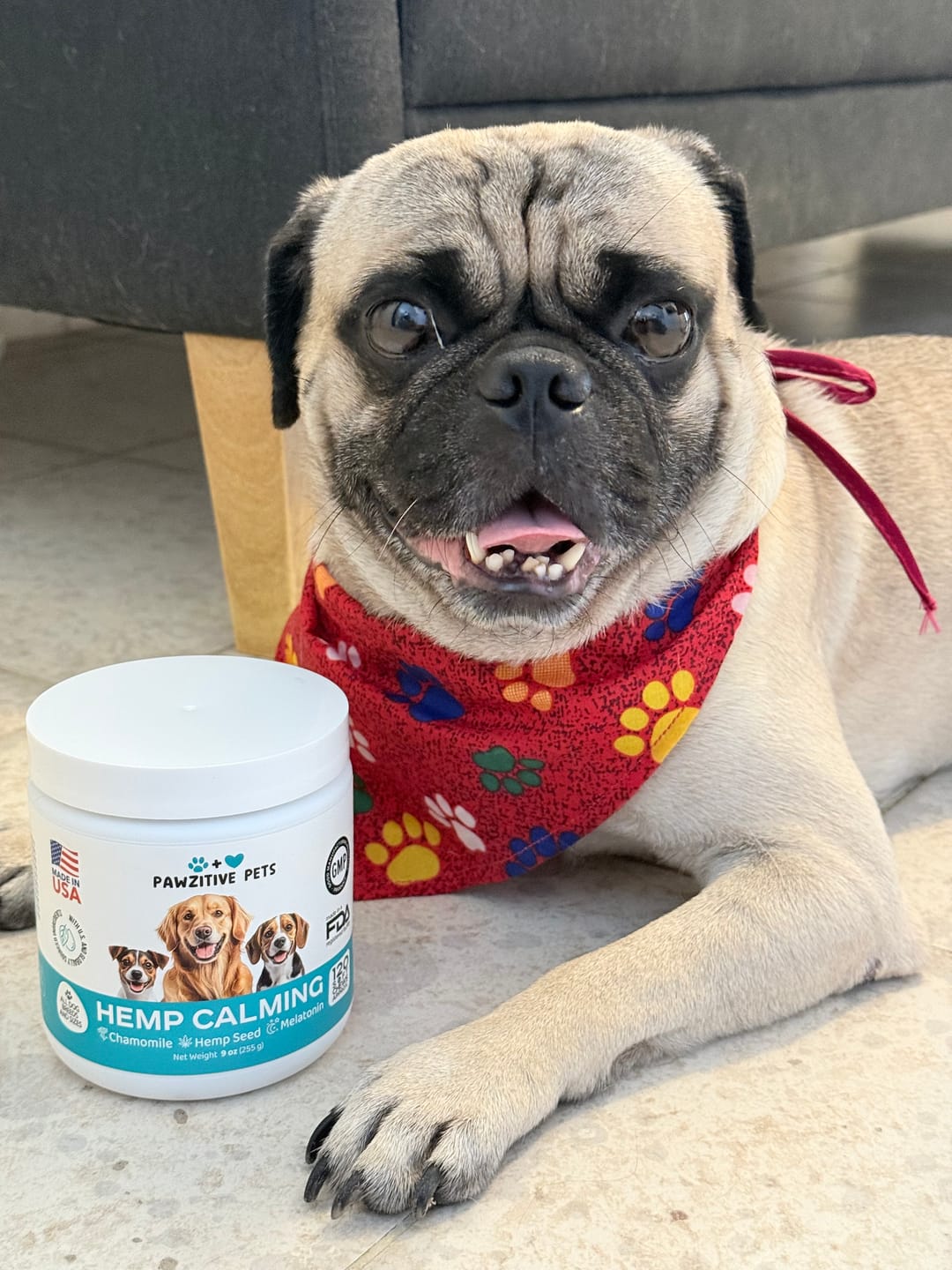 Customer photo review of Hemp Calming Chews for Dogs – 120 Soft Chews