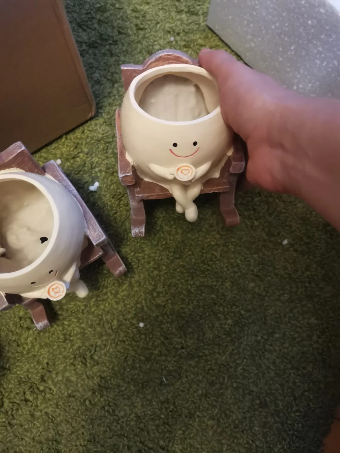 Customer photo review of Cozymere Swing Face Planter