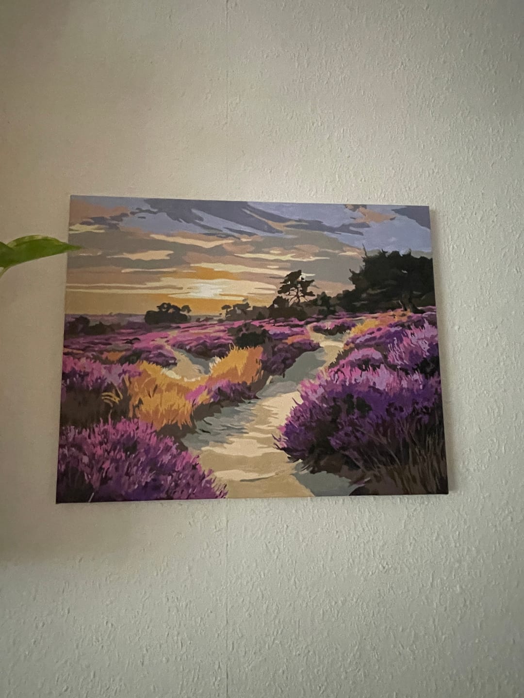 Customer photo review of Malen nach Zahlen - Nationalpark De Hoge Veluwe