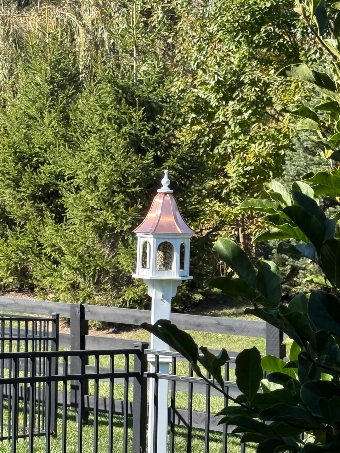 Customer photo review of Bell Gazebo Copper Roof Bird Feeder