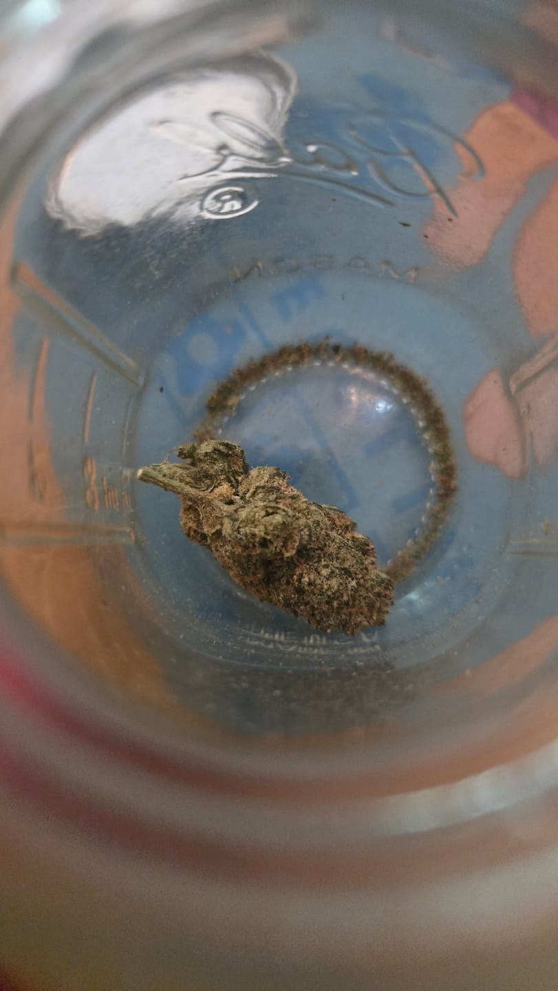 Customer photo review of Blueberry Syrup - 28 Grams - Indica