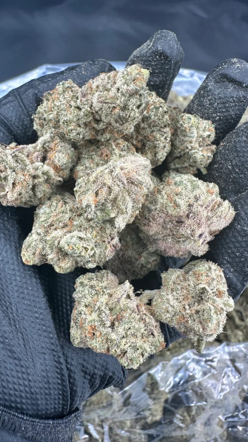 Customer photo review of Biscotti THCA Flower (Premium)