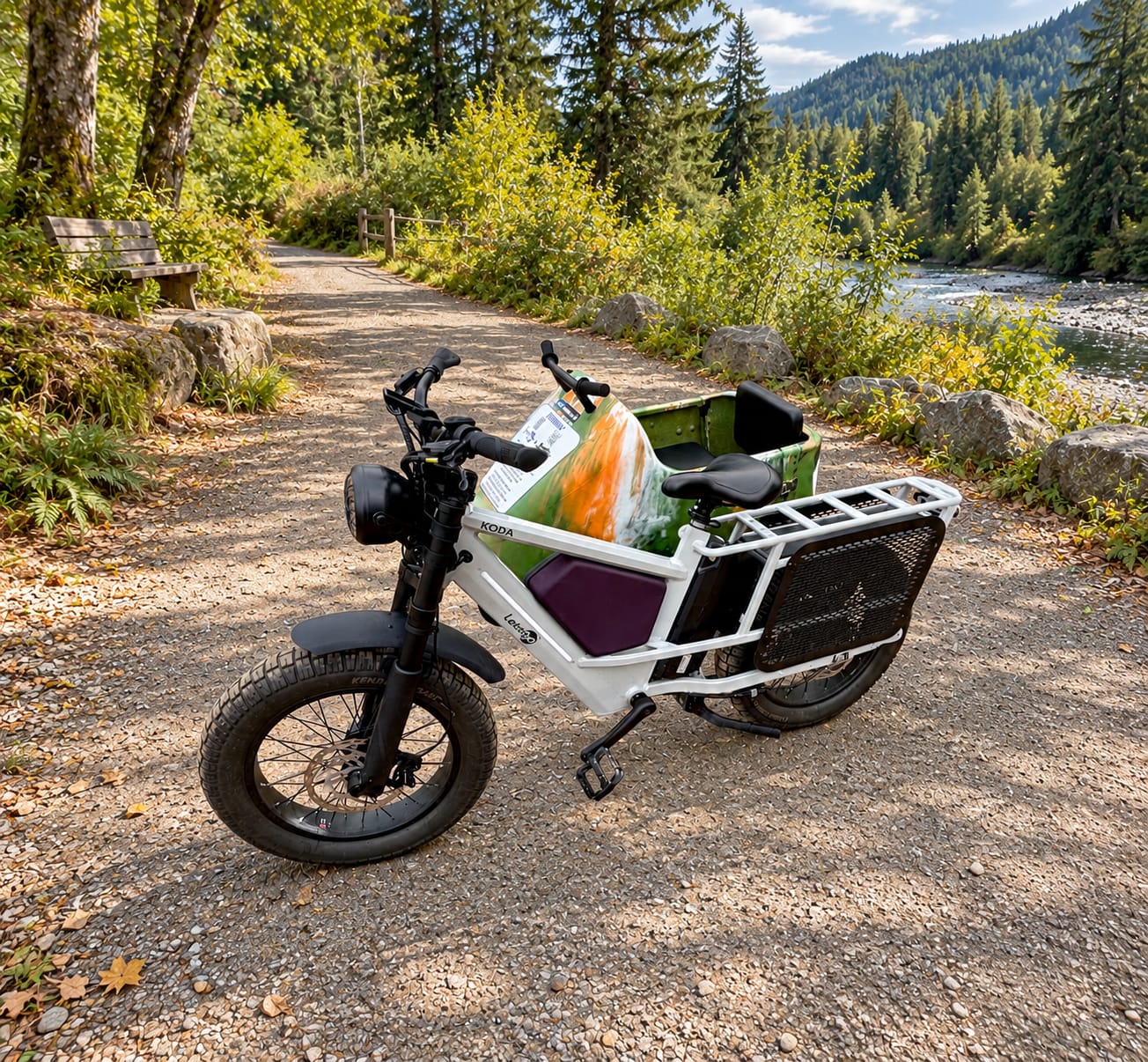 Customer photo review of Letrigo Sidecar01