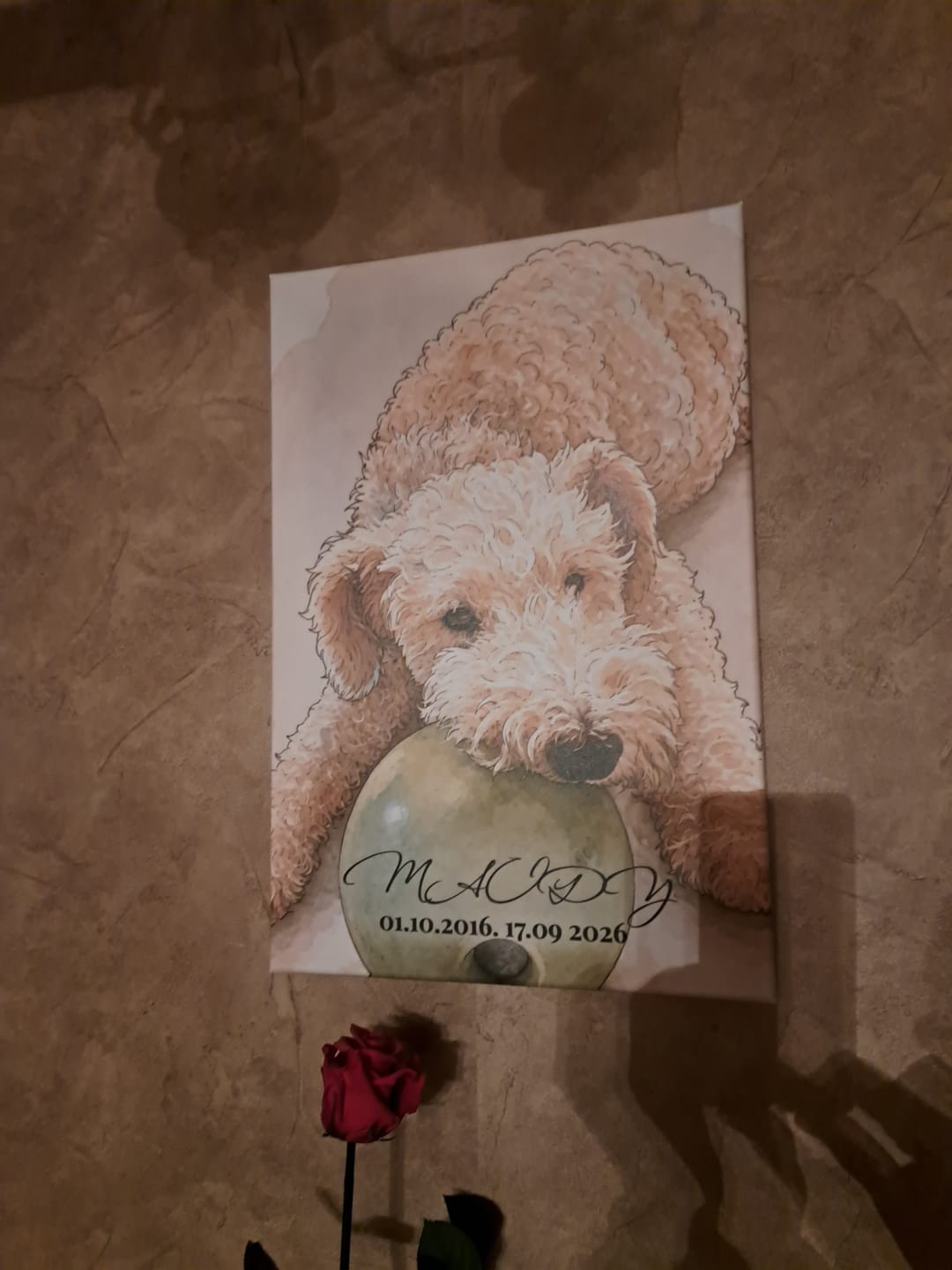 Customer photo review of Votre photo en œuvre d'art – avec aperçu en direct, sur poster ou toile