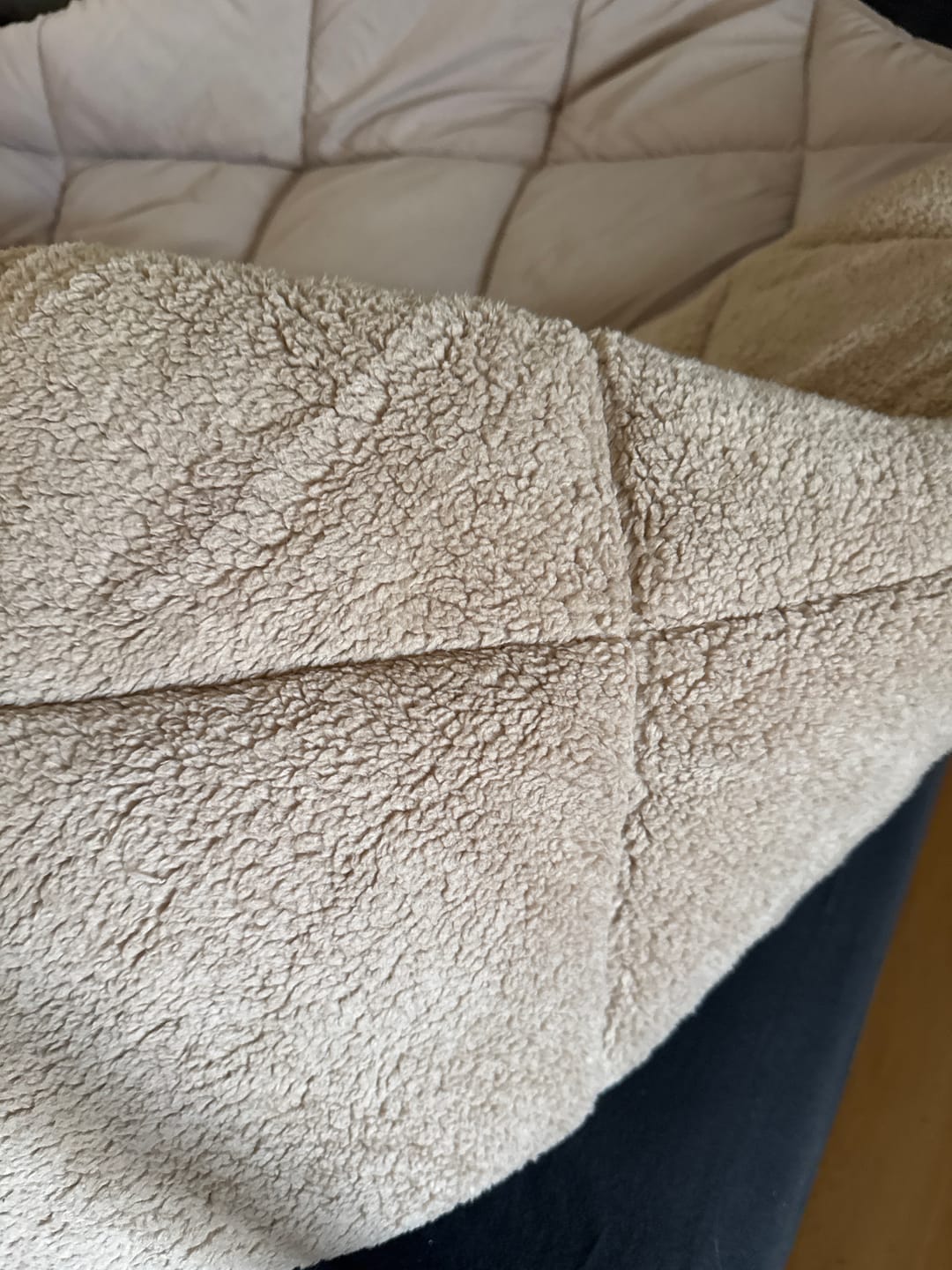 Customer photo review of Y-NOT Teddy Taupe