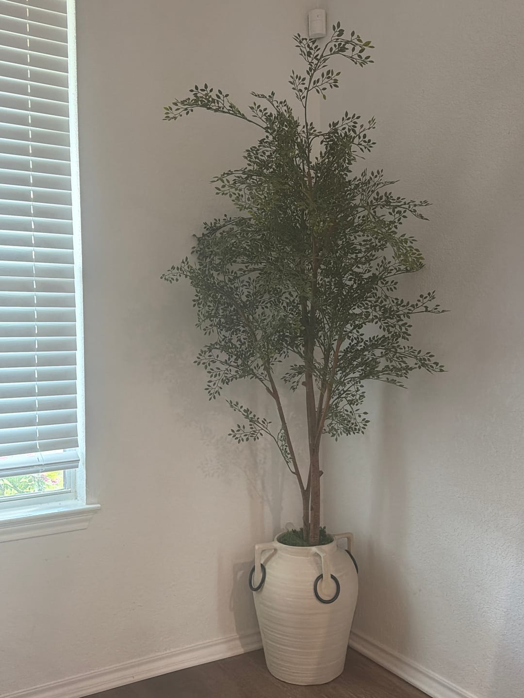 Customer photo review of Faux Ruscus Tree (Indoor or Outdoor) 185cm / 6ft 1in