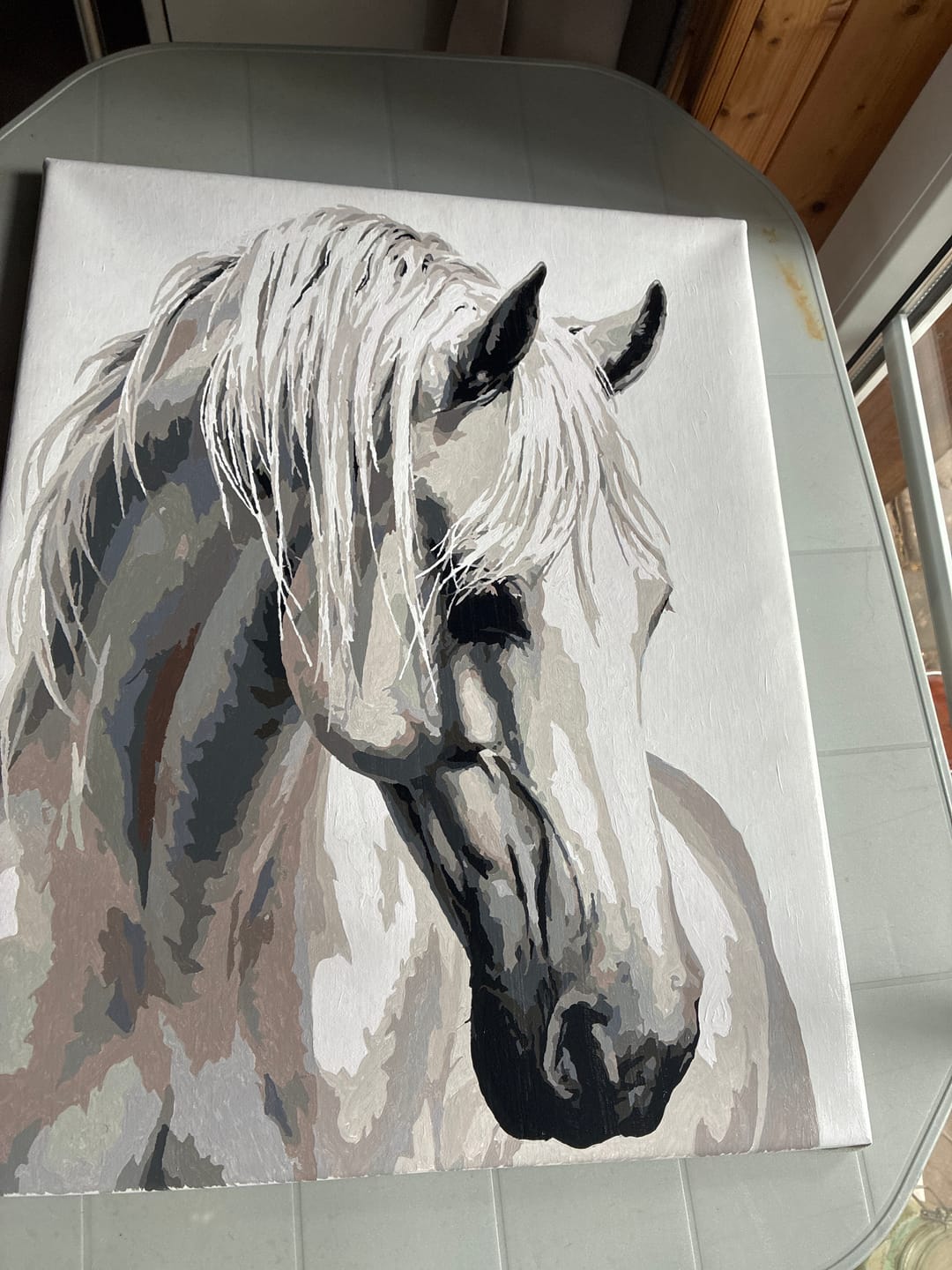 Customer photo review of Malen nach Zahlen - Sanfter Hengst