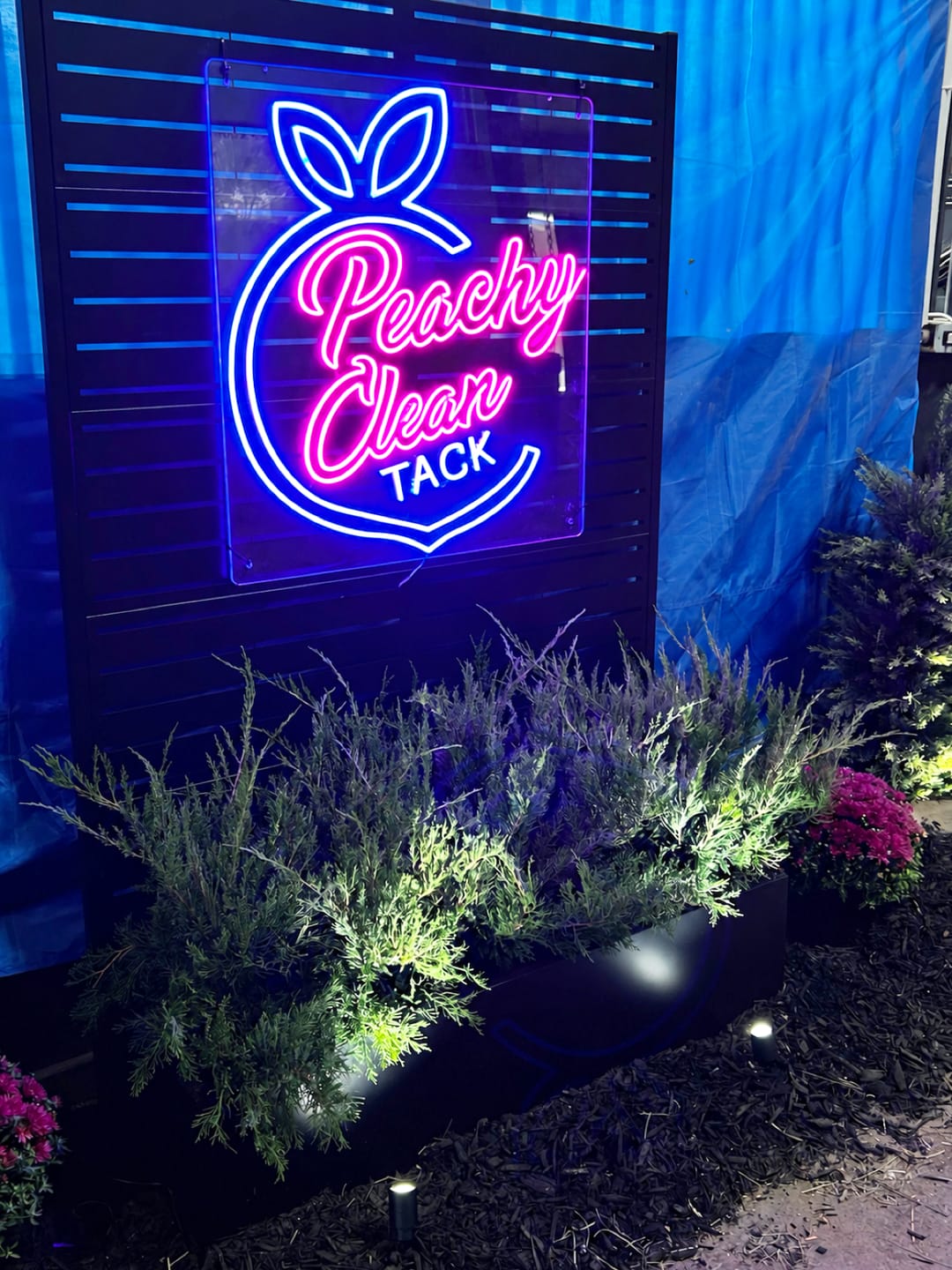 Customer photo review of Peachy Clean TACK | LED Neon Sign