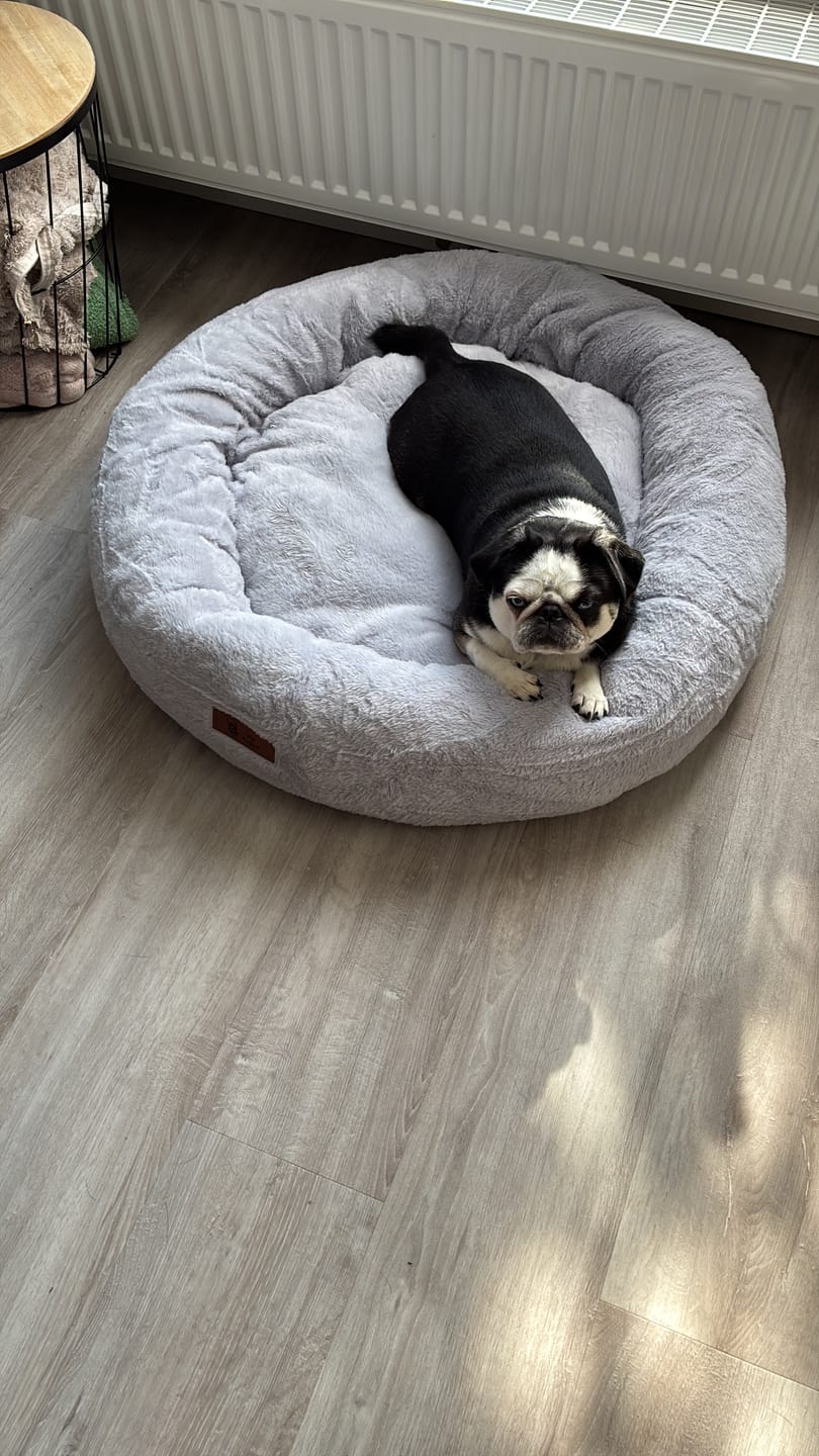 Customer photo review of Pet Perfect Orthopedische Donutmand