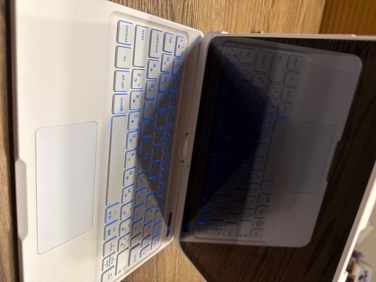 Customer photo review of Y2K Style Rotating iPad Keyboard Case