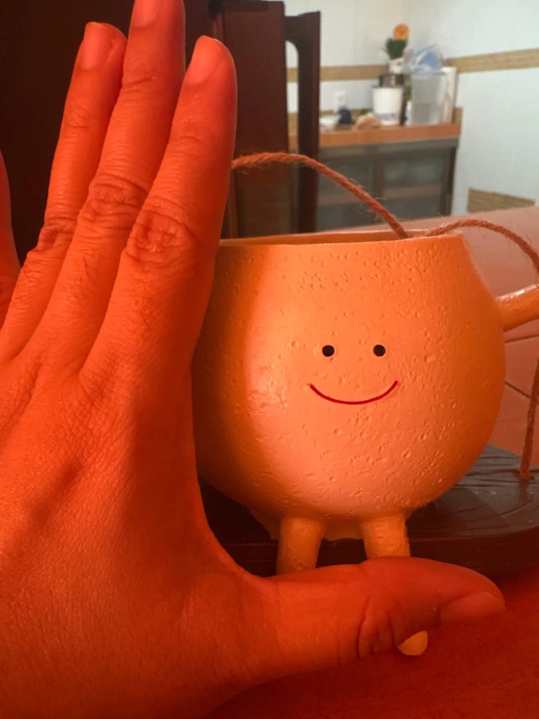 Customer photo review of Cozymere Swing Face Planter