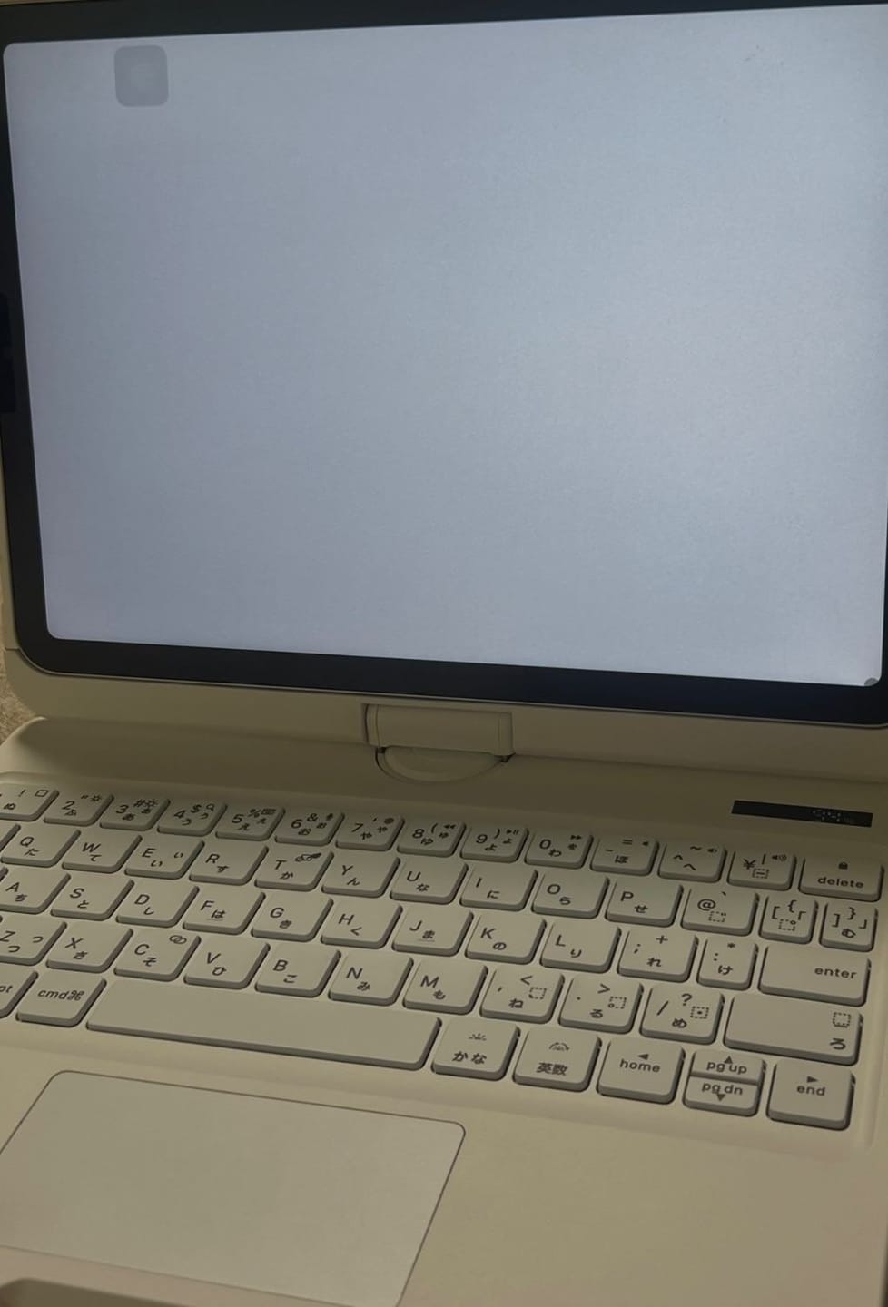Customer photo review of Y2K Style Rotating iPad Keyboard Case