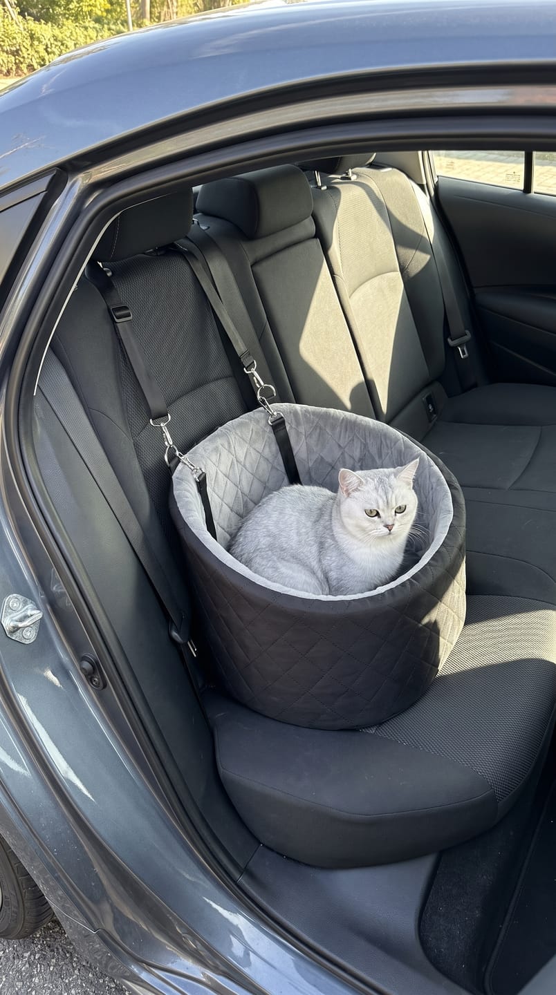 Customer photo review of Cozy Cat Car Seat