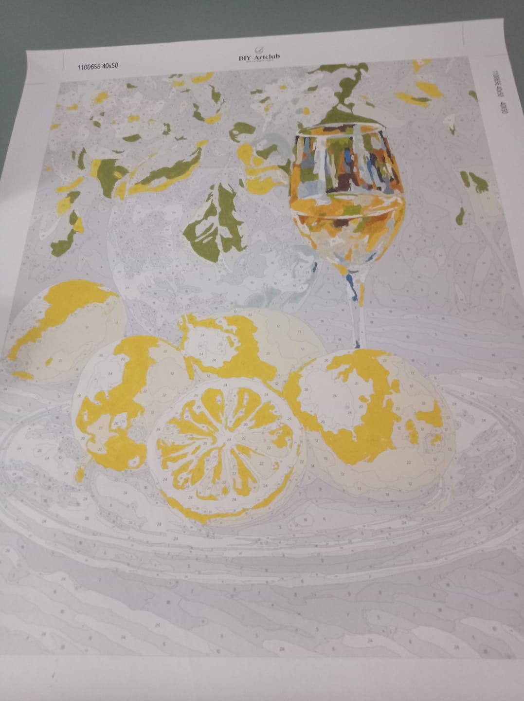 Customer photo review of Lemons and Wine | Paint by Numbers