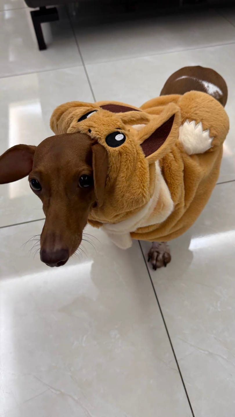 Customer photo review of Poké Pet Costume