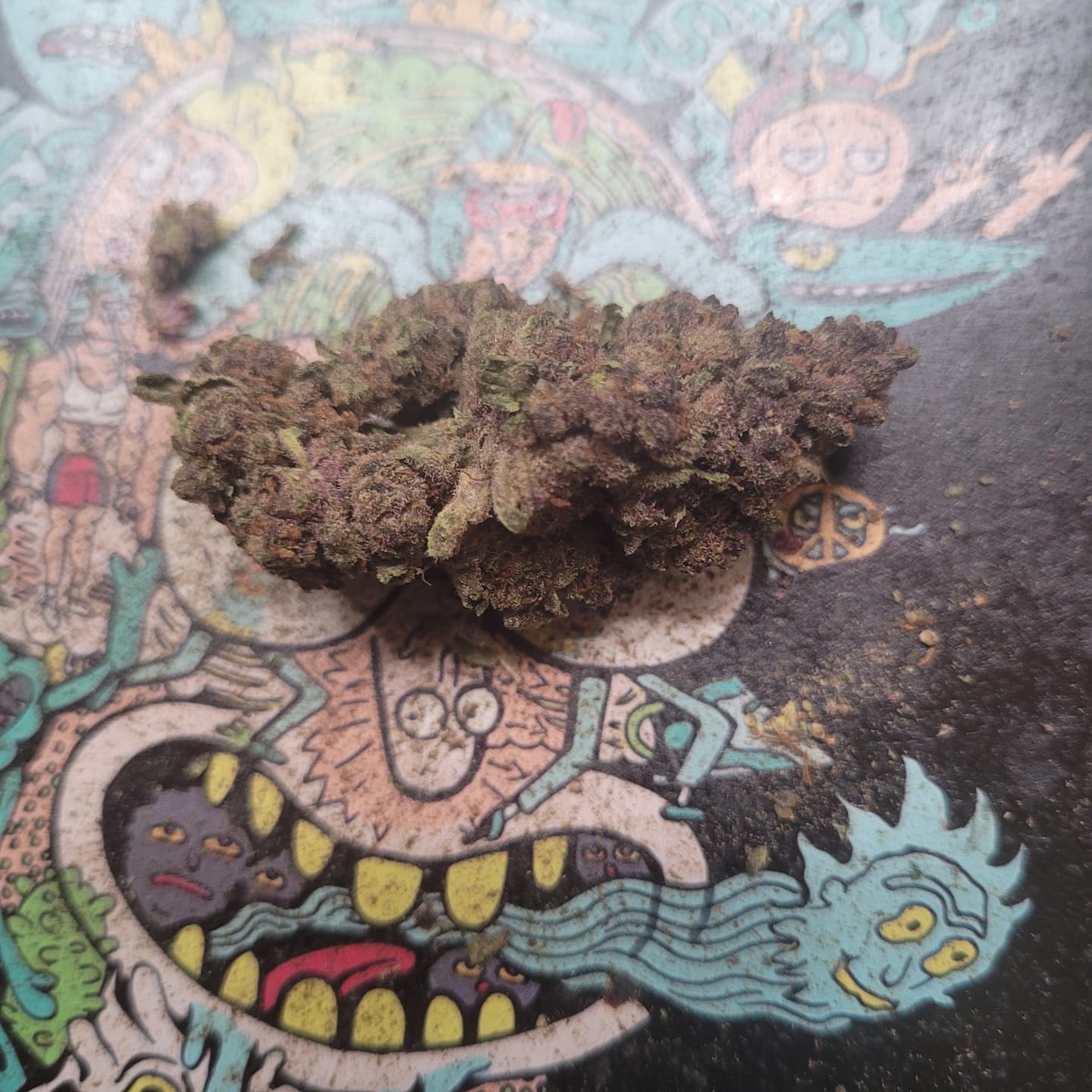 Customer photo review of Tropicana Cherry THCA Flower