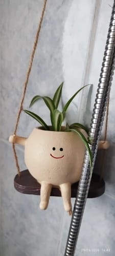 Customer photo review of Cozymere Swing Face Planter