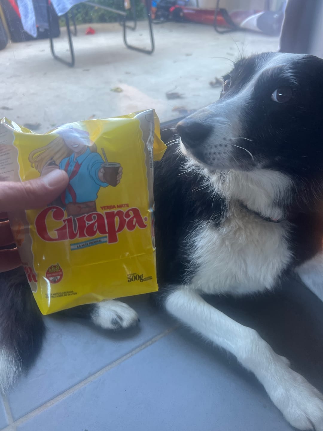 Customer photo review of Cachamate Coco - Yerba Maté D'argentine 500g