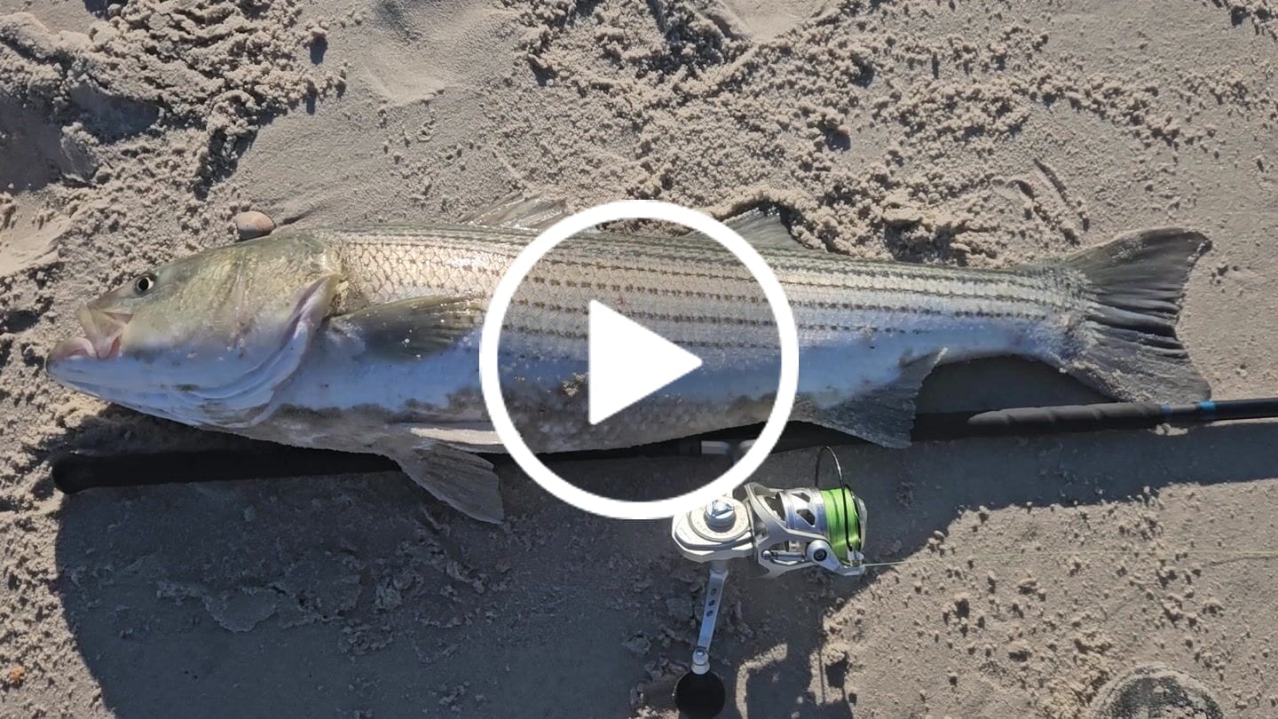 Customer video review of SaltX II Spinning Reel