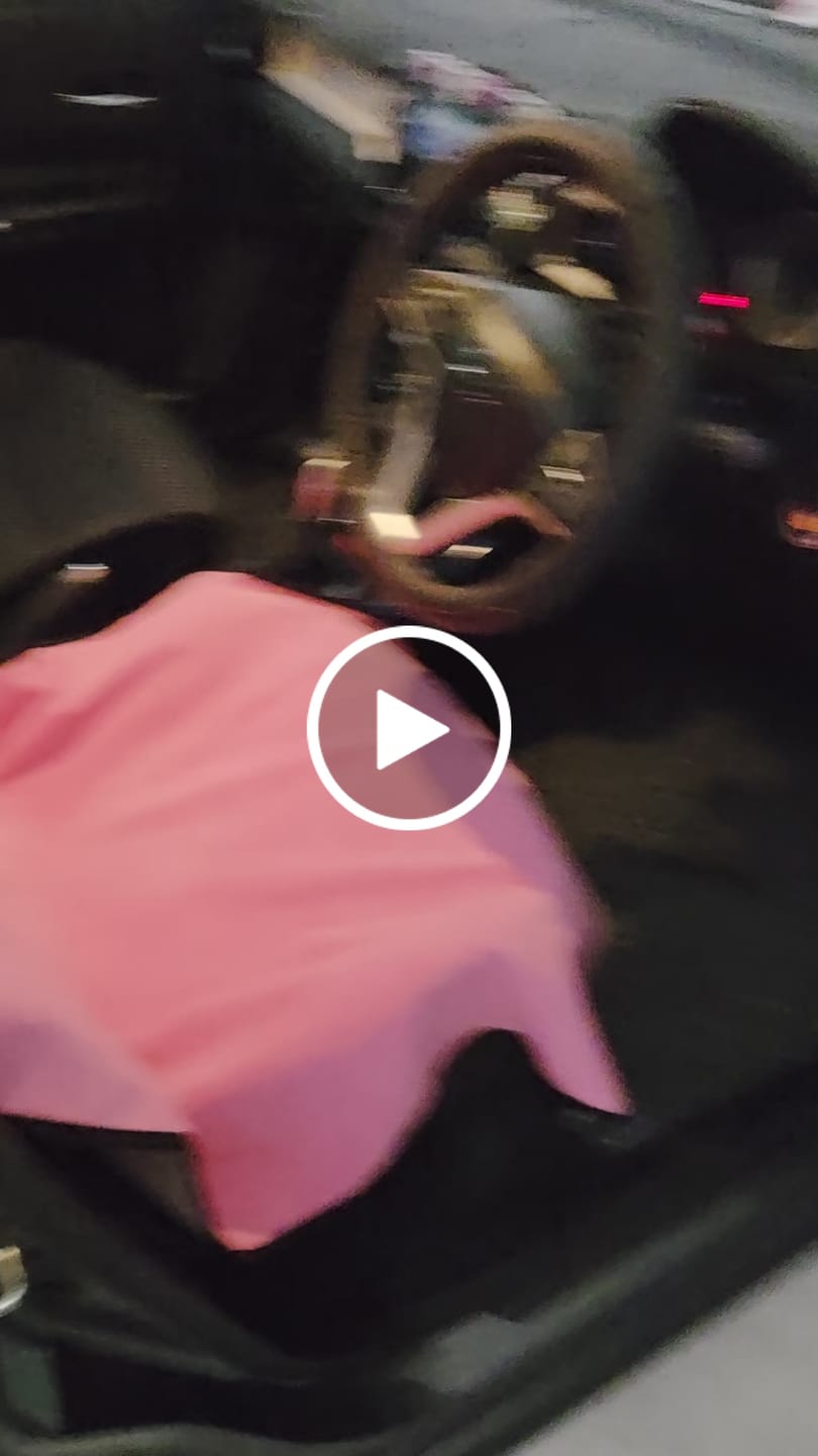 Customer video review of Waterproof Car Towel Seat Cover