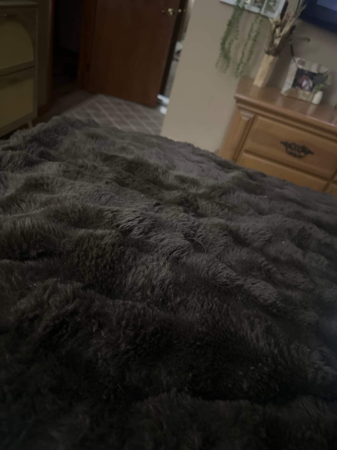Customer photo review of Cloud Throw Blanket