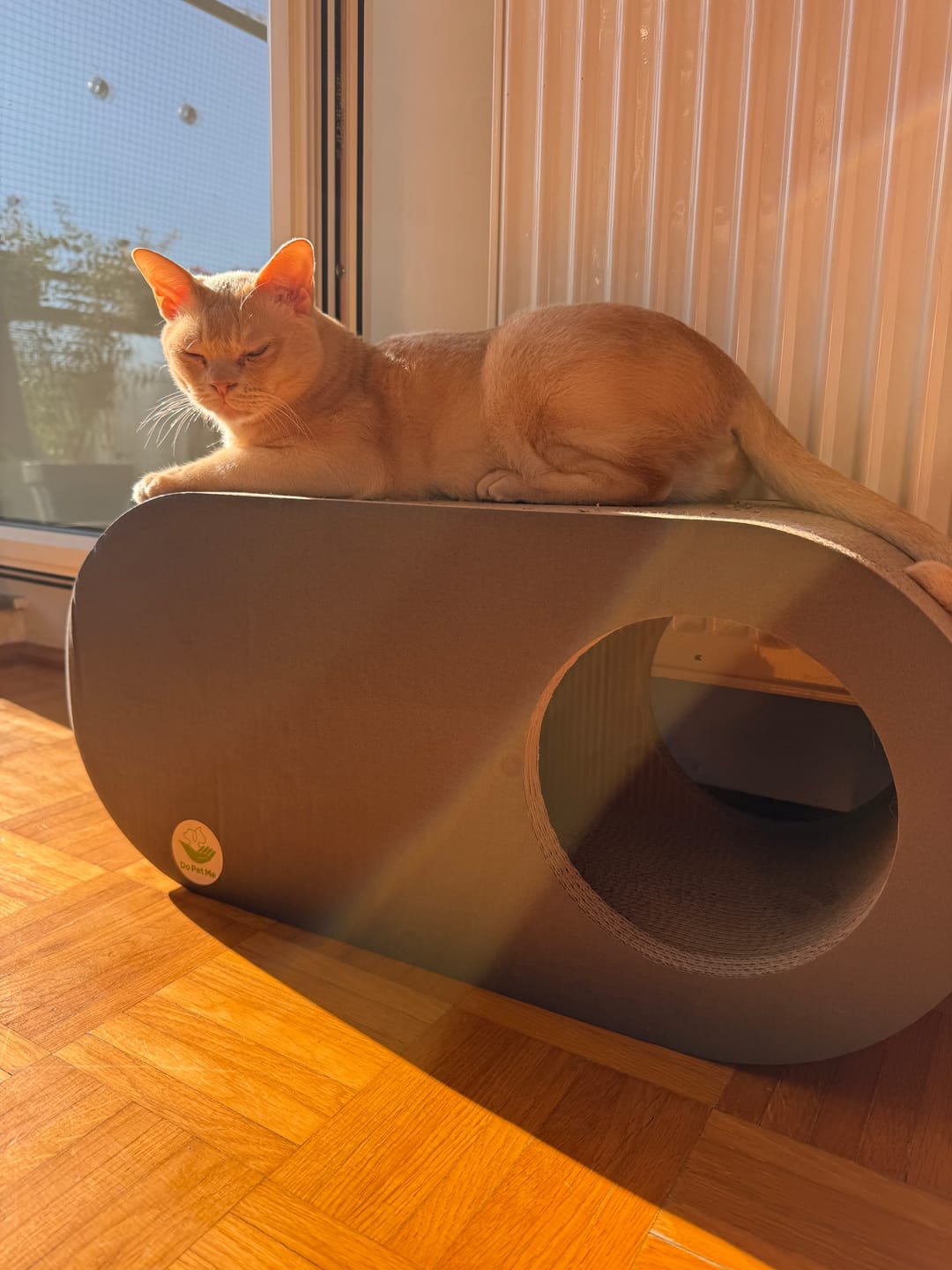 Customer photo review of Katzenhöhle Cozy Cave