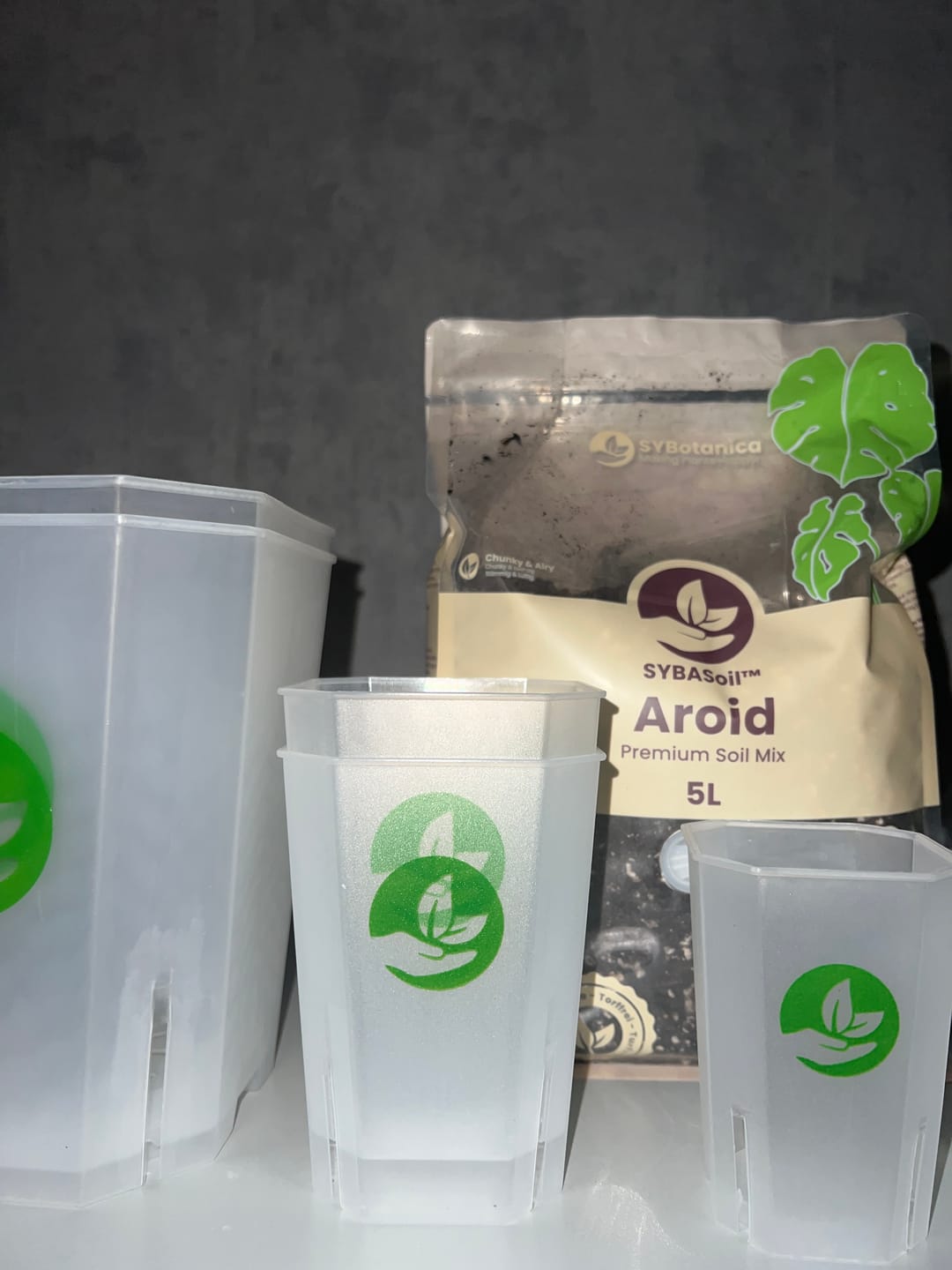 Customer photo review of Aroid Mix (Monstera e.t.c.)