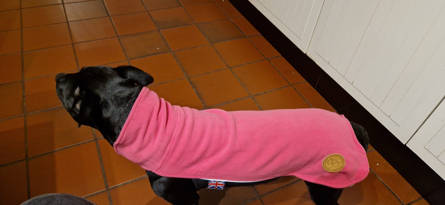Customer photo review of Staffordshire Bull Terrier 1935® Fleece Coat - Fuchsia