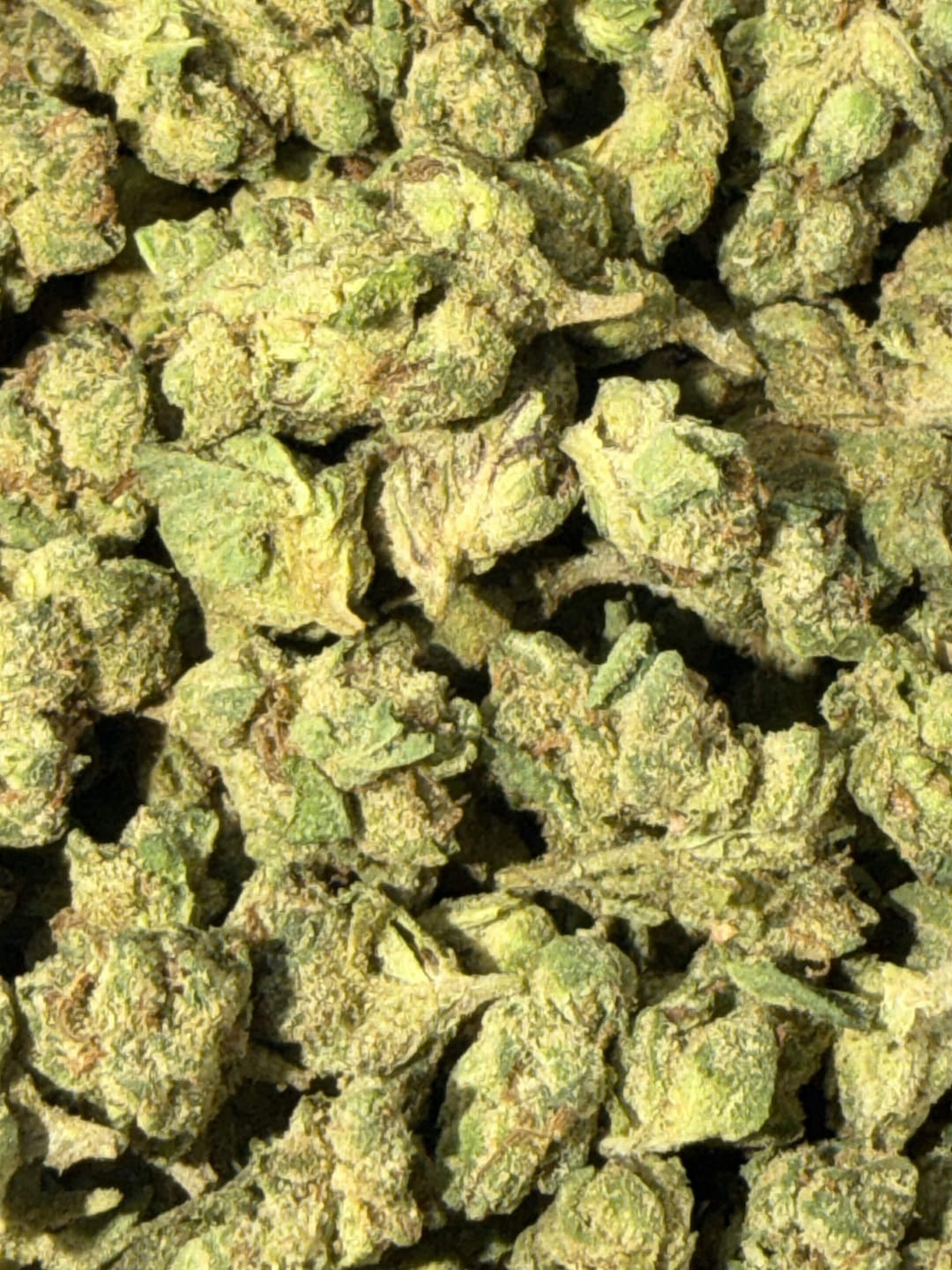 Customer photo review of Cheap THCA Smalls Pound