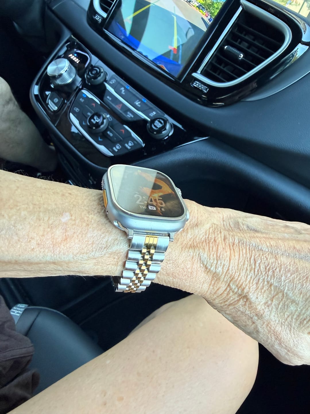 Customer photo review of Classic Duo Luxury Apple Watch Strap