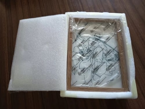 Customer photo review of GOL D. ACE