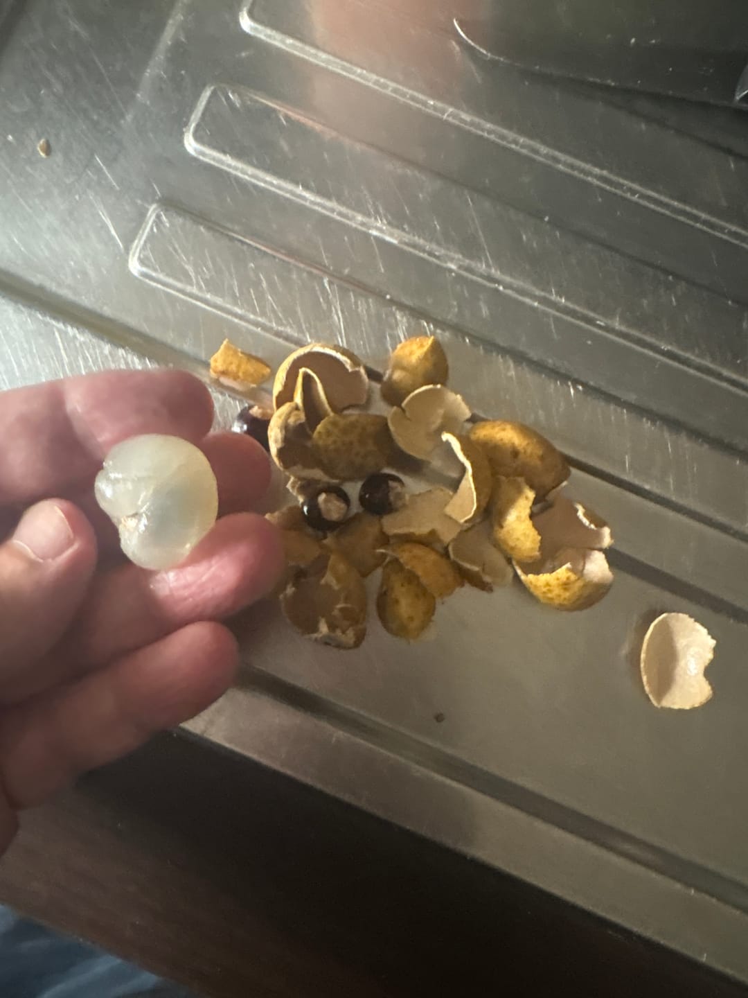 Customer photo review of Longan