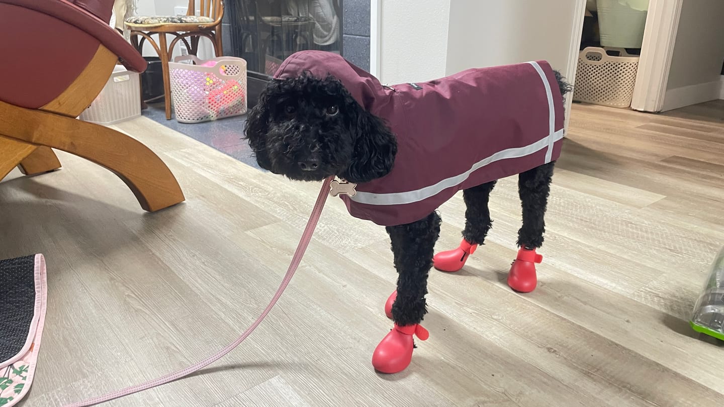 Customer photo review of Reflective All-Weather Raincoat (Wax Coat)