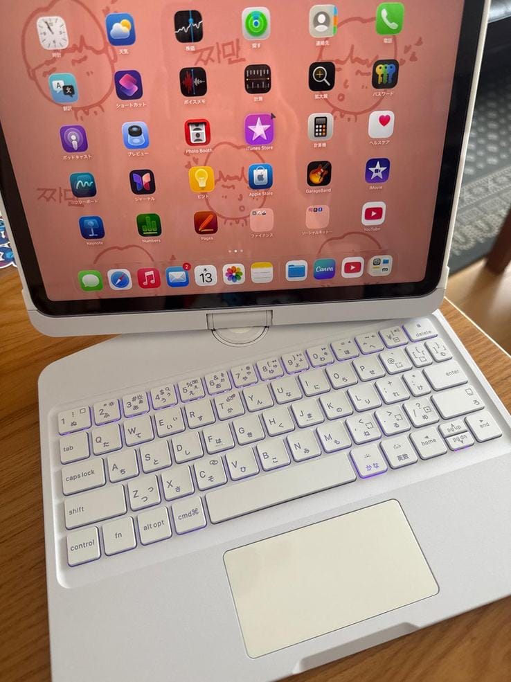 Customer photo review of Y2K Style Rotating iPad Keyboard Case