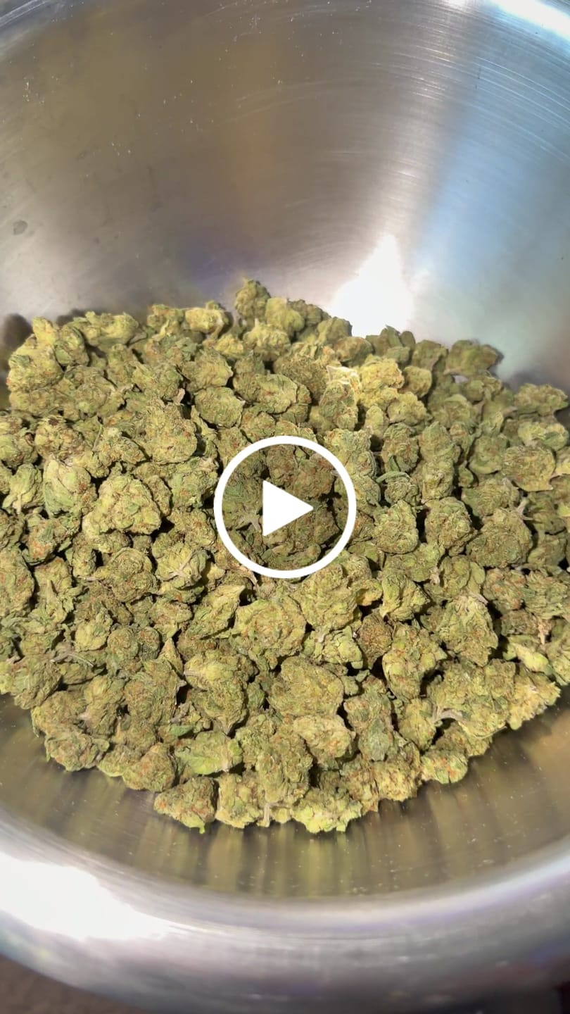 Customer video review of Permanent Gas (Indoor Smalls) – Bulk THCA Flower 1 lb