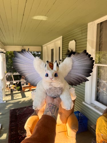 Customer photo review of Mercurian salamander