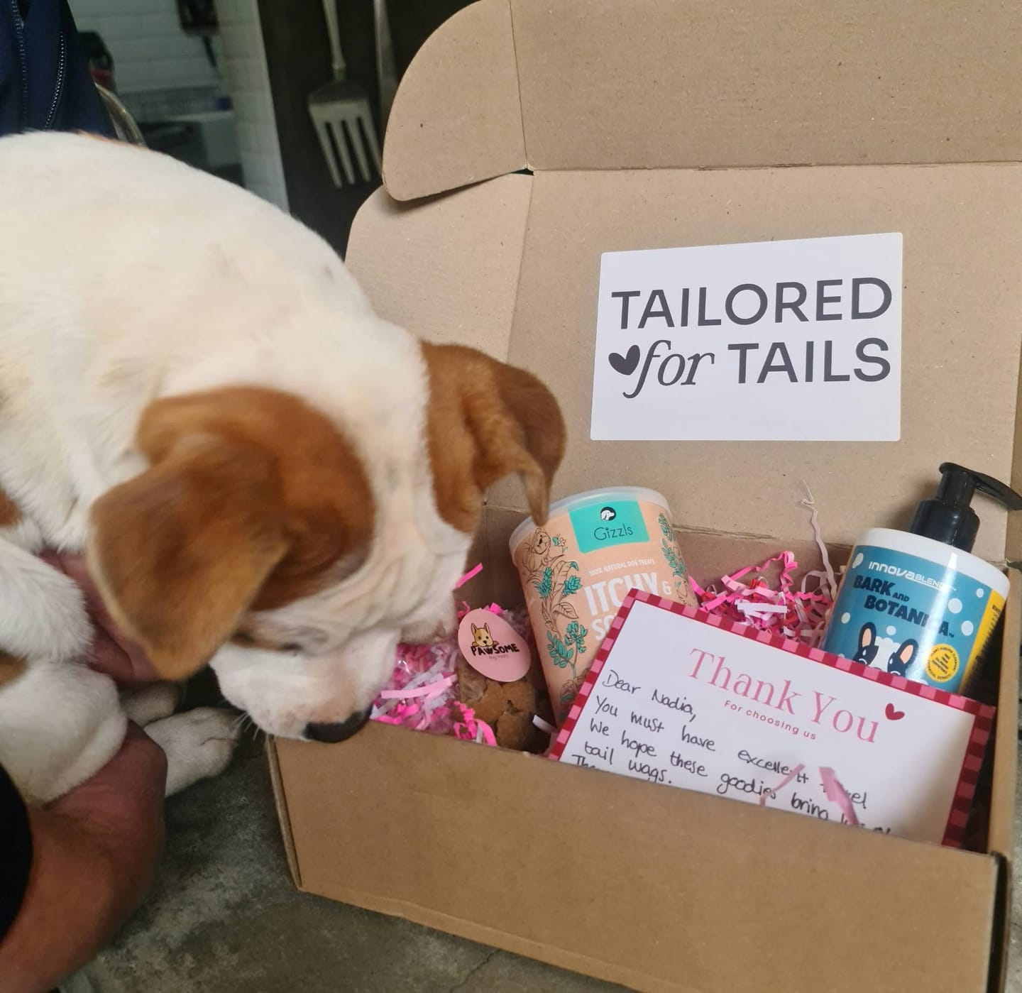 Customer photo review of 100% Natural Dog Treats for Allergies and Immunity