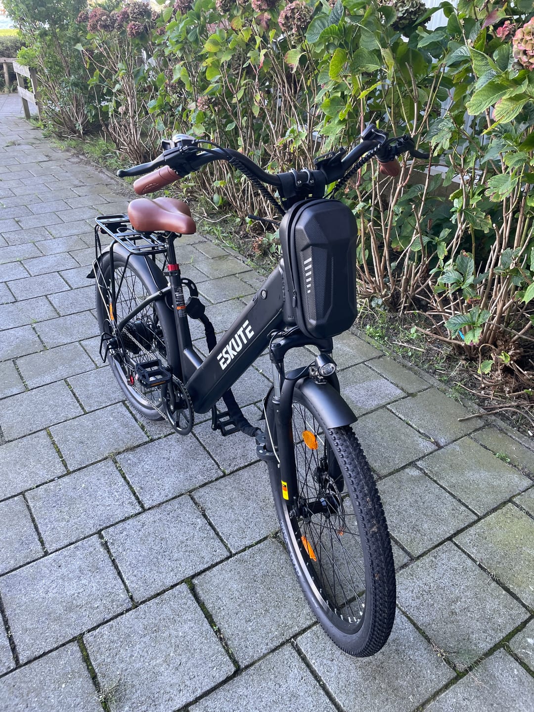 Customer photo review of Eskute C100 Plus City E-Bike