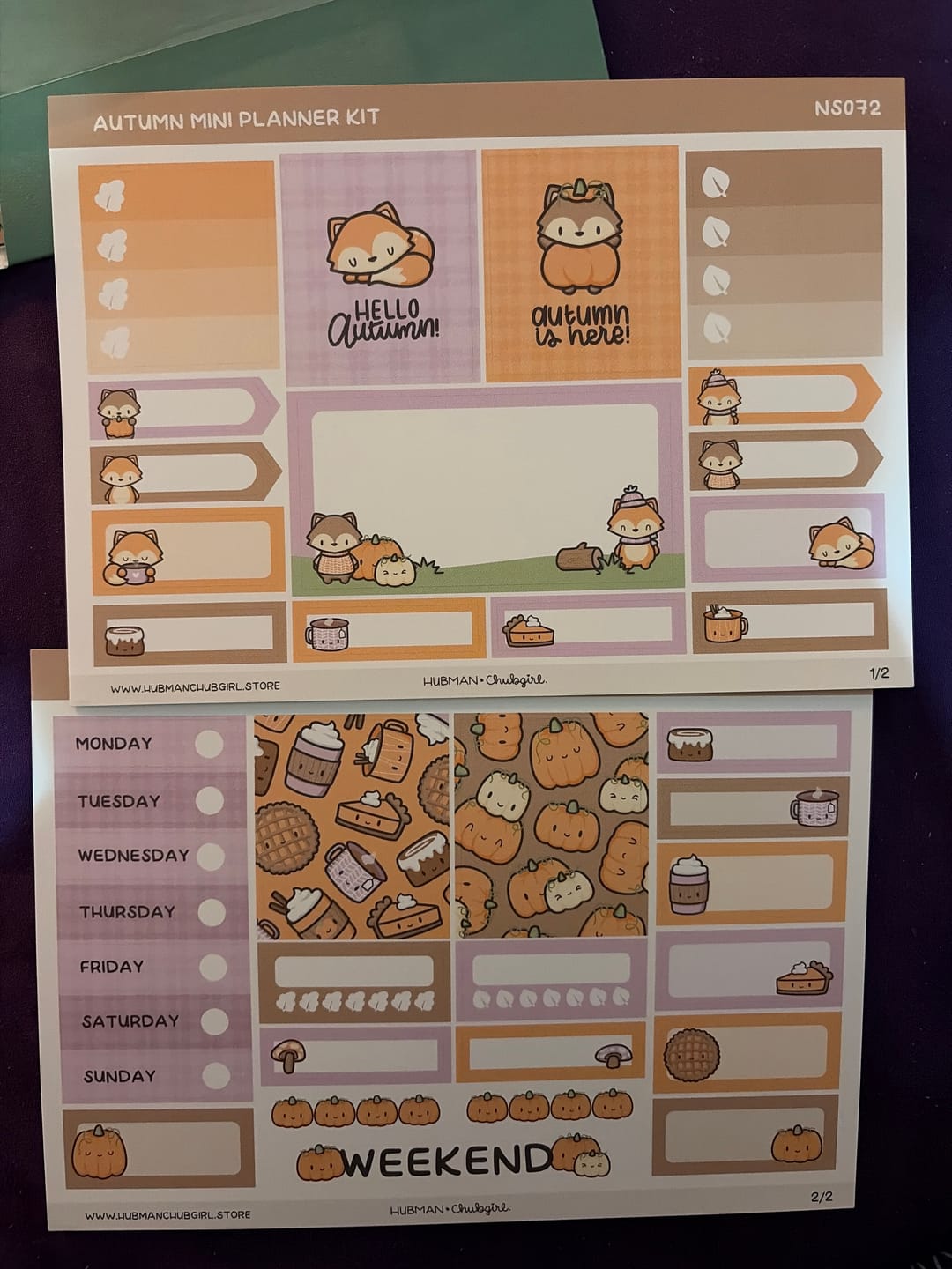 Customer photo review of Autumn Foxes Mini Planner Kit (Set of 2)
