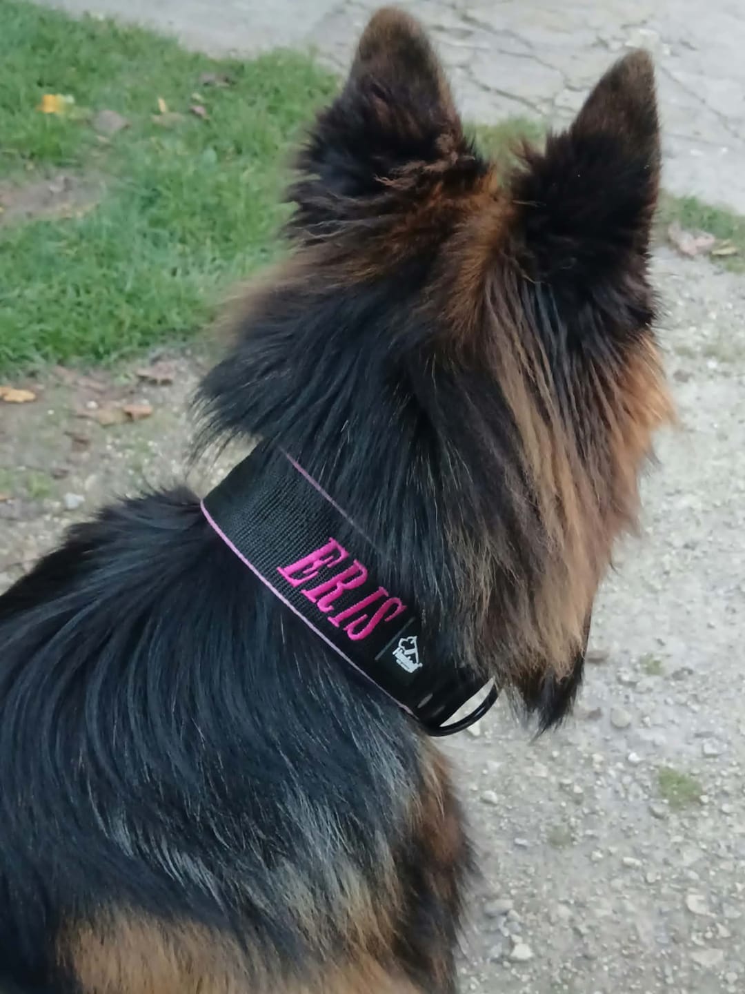 Customer photo review of Obroża dla psa z imieniem - Personal Extreme