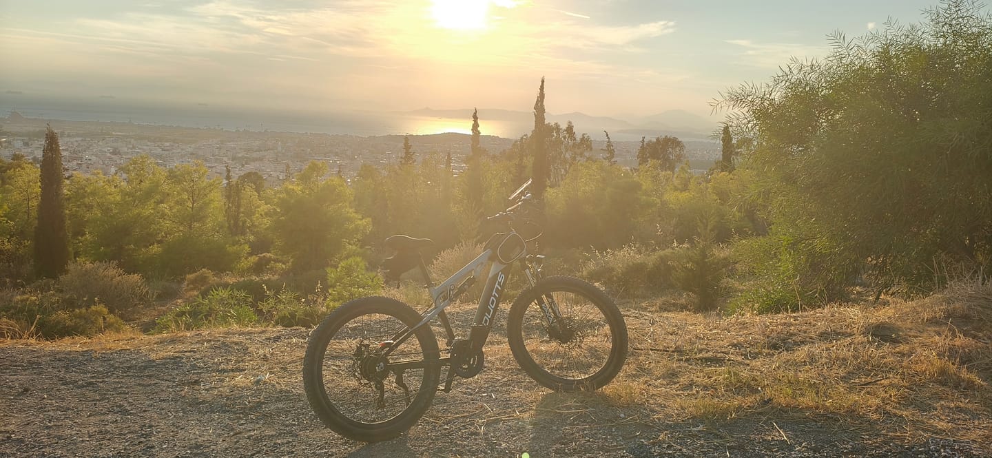 Customer photo review of DUOTTS E29 Electric Bike