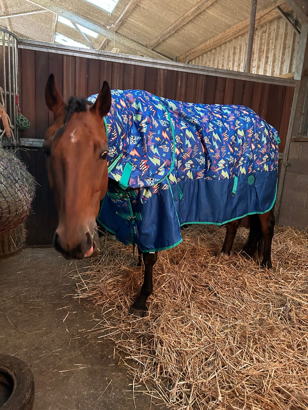 Customer photo review of Thunderstruck Stable Rug