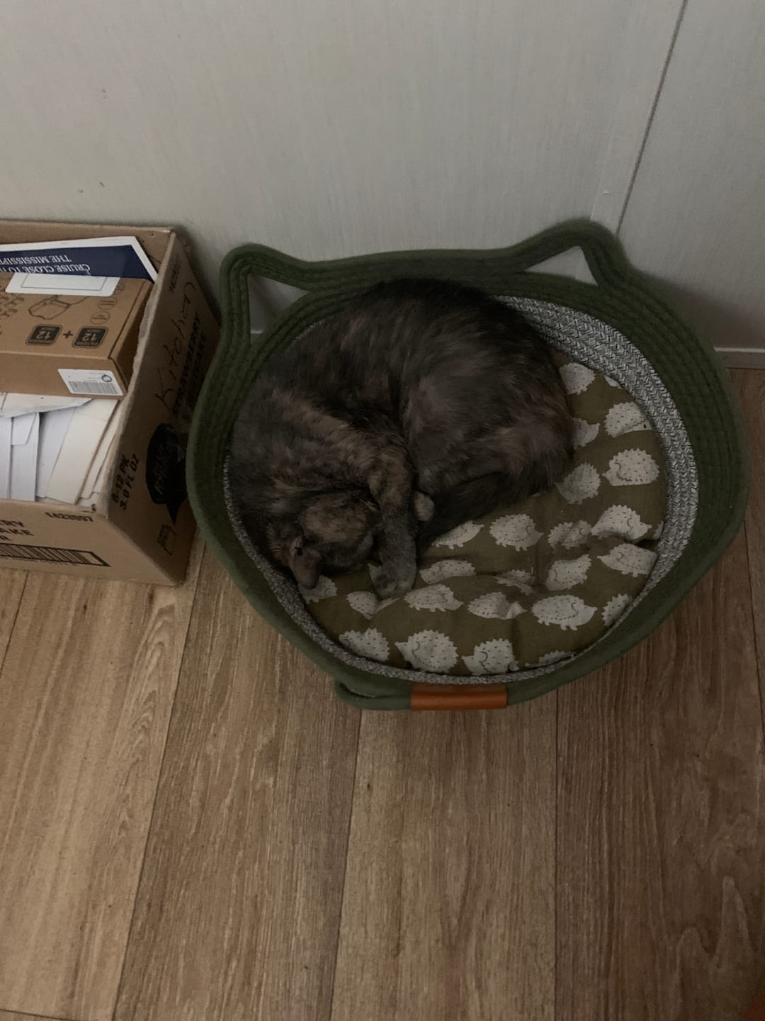 Customer photo review of Instinct Basket | Meet the first research-backed natural territory for indoor cats