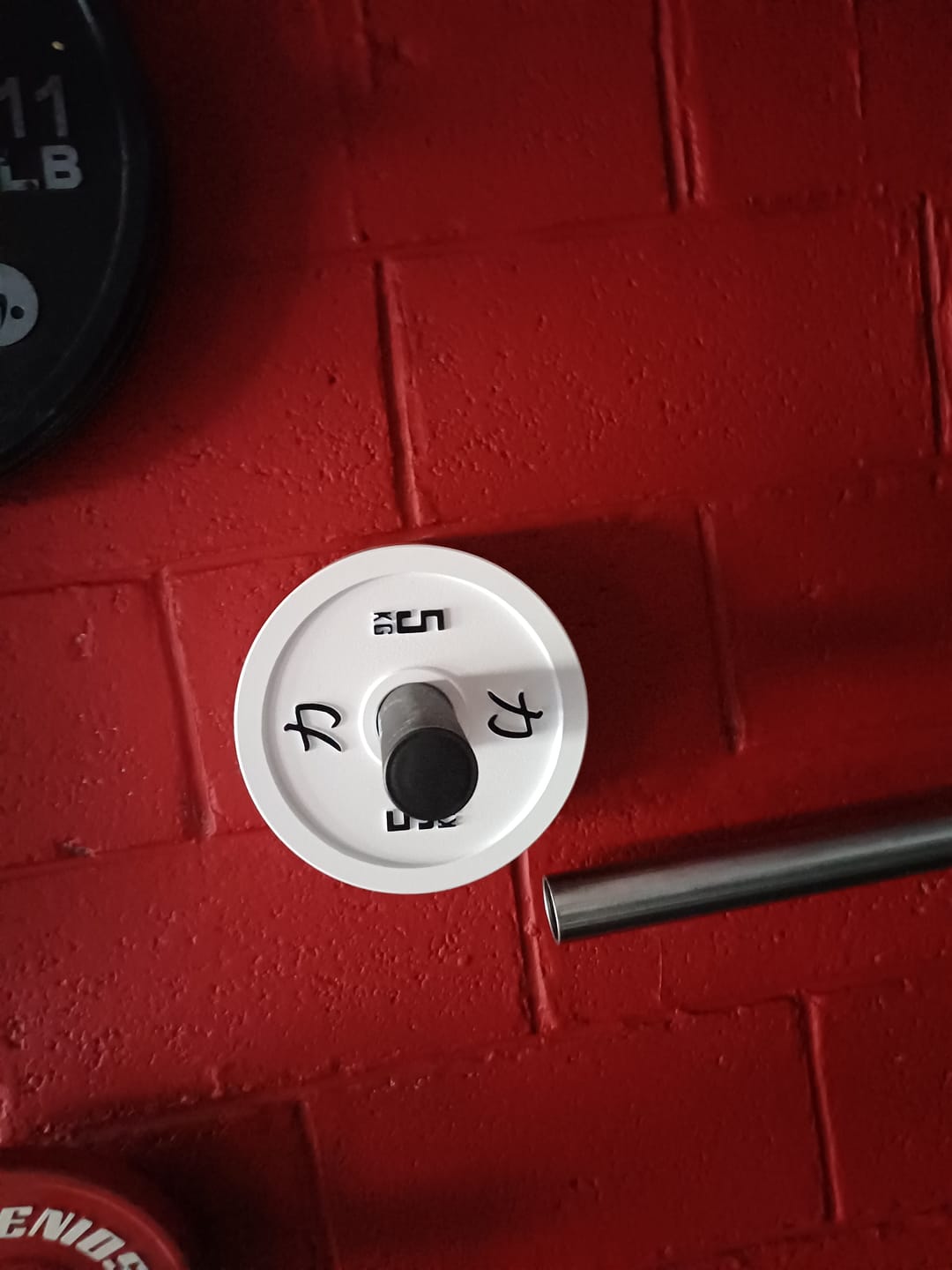 Customer photo review of Strength Shop Calibrated Plates - IPF Approved