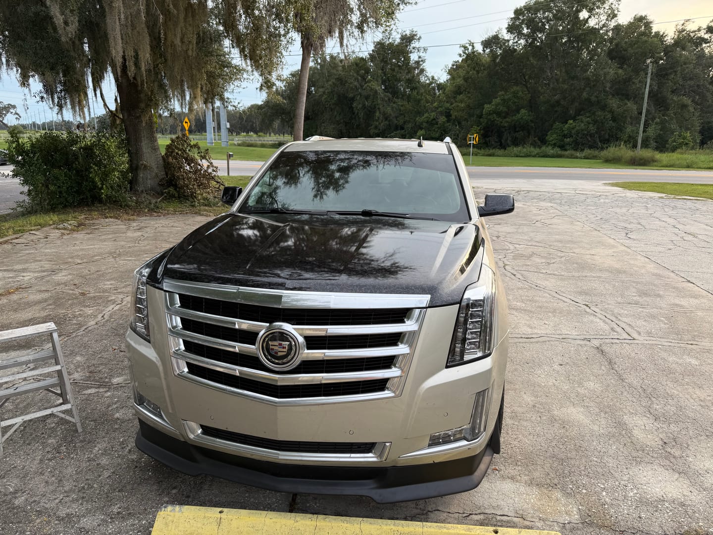 Customer photo review of Black Forged Carbon Fiber Vinyl Wrap