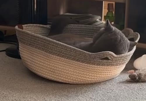 Customer's grauer Fellnest Katzenkorb aus geflochtenem Seil, in dem eine Katze gemütlich schläft.