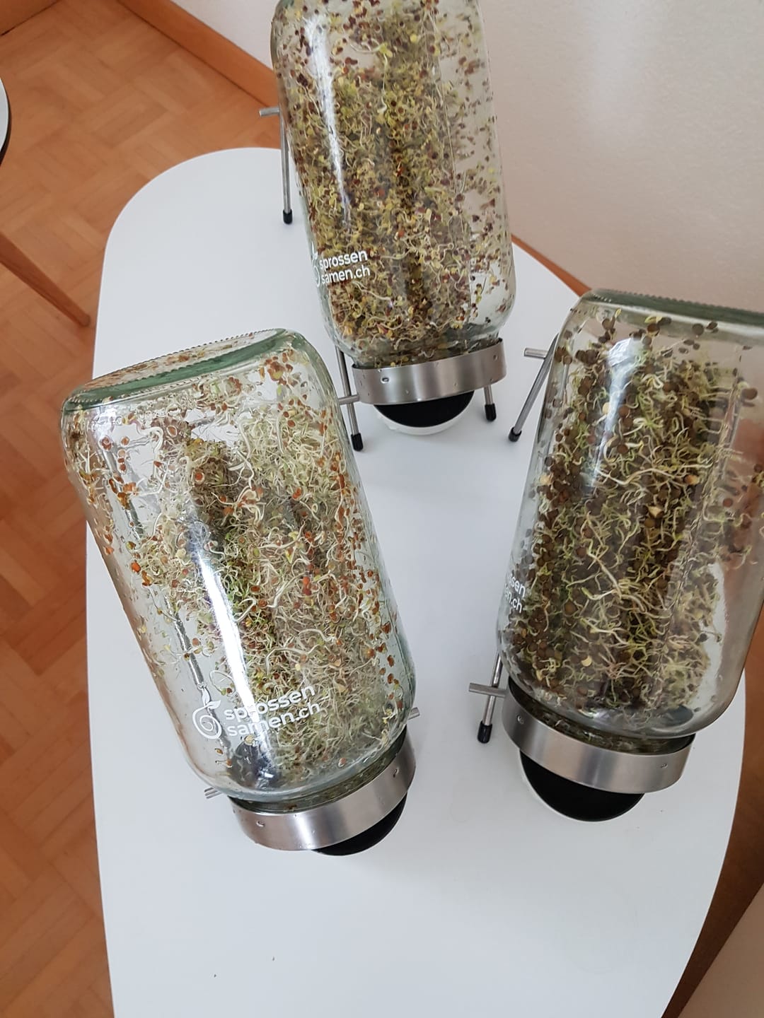 Customer photo review of Fitness-Mix Bio Samensprossen 250g