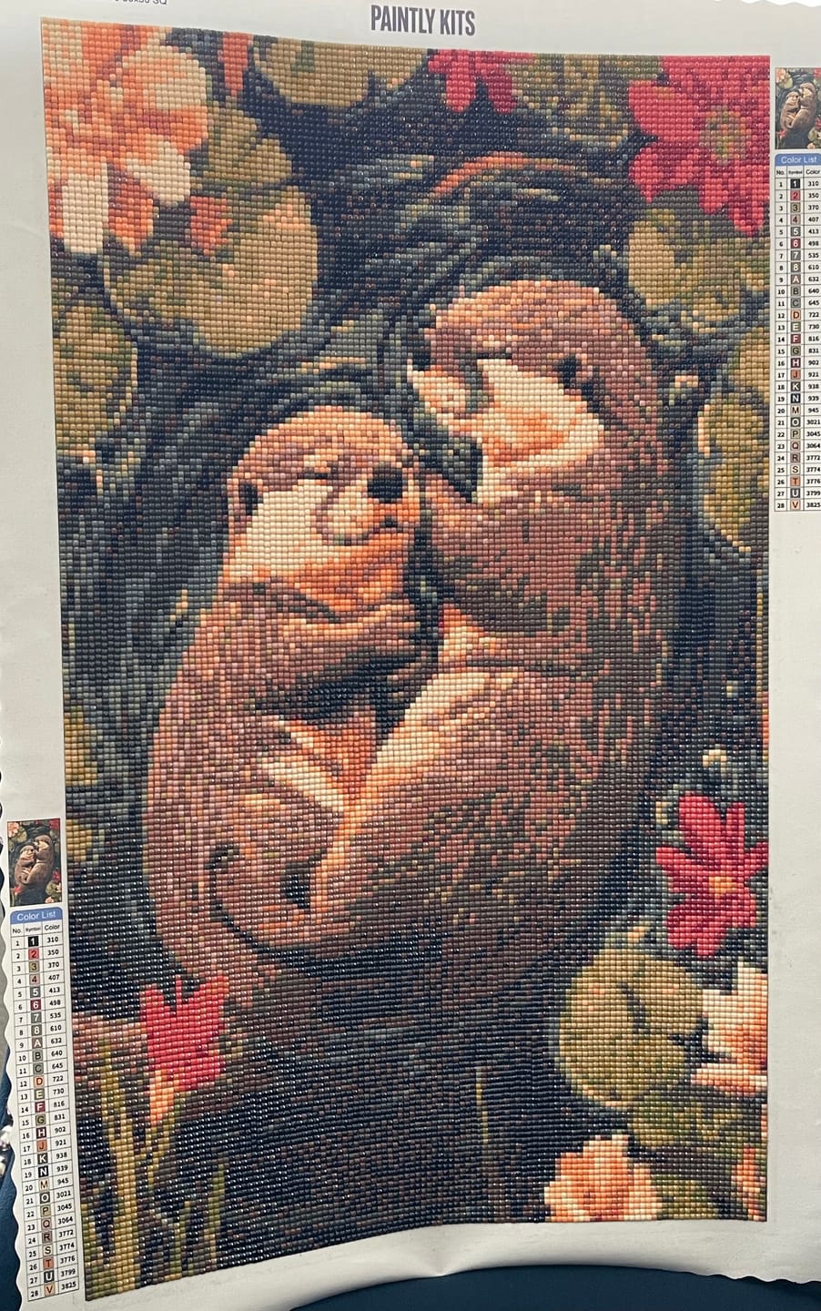 Customer photo review of Hugging Otters, Lily Pad Pond (Diamond Painting)
