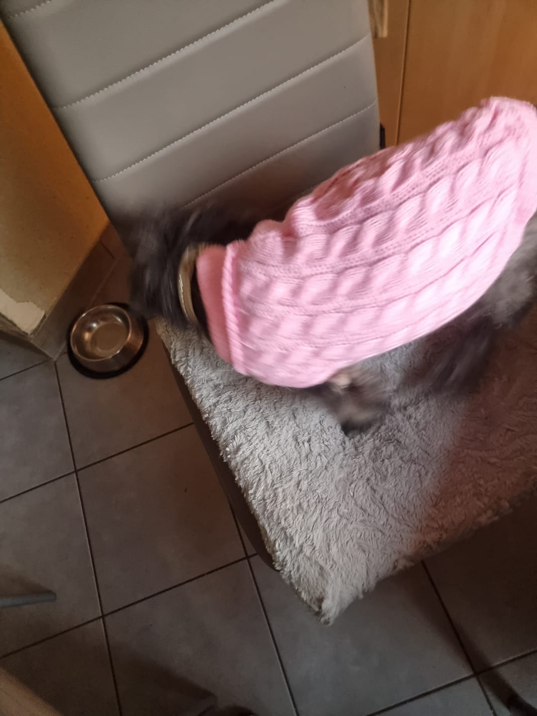 Customer photo review of gutQR Anti-Itch Welcome